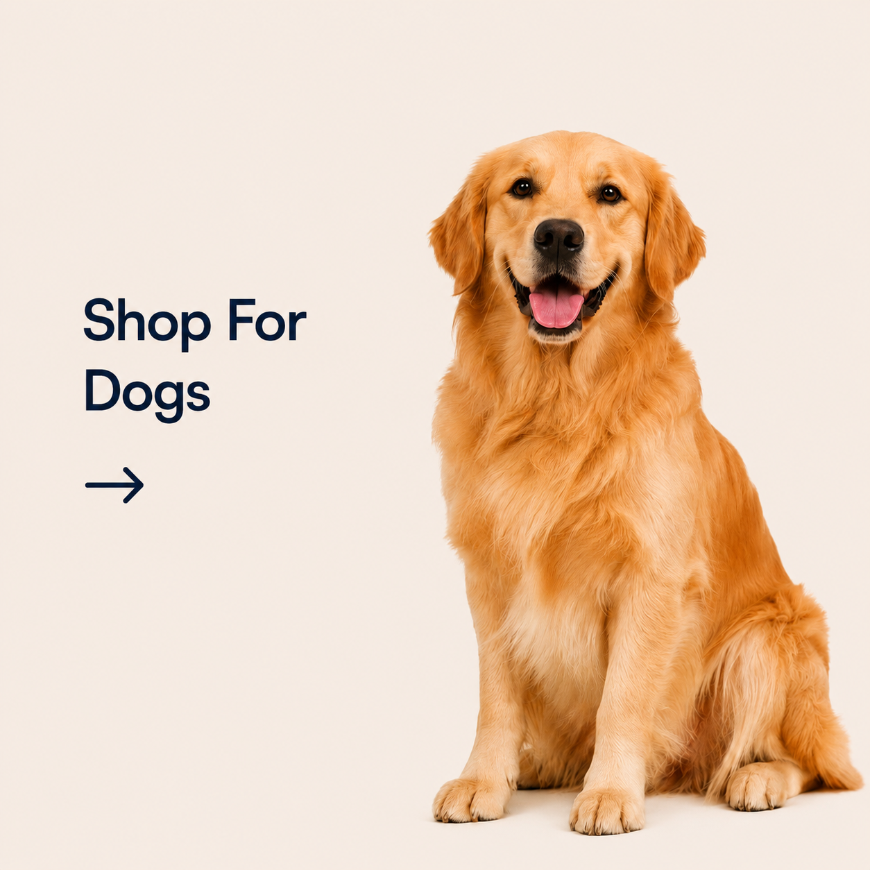 Dogs